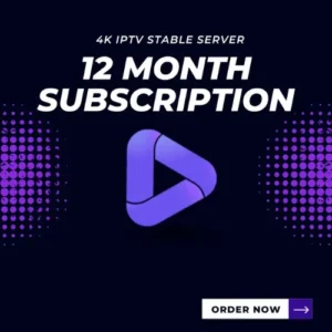 Deluxe Server 12 months